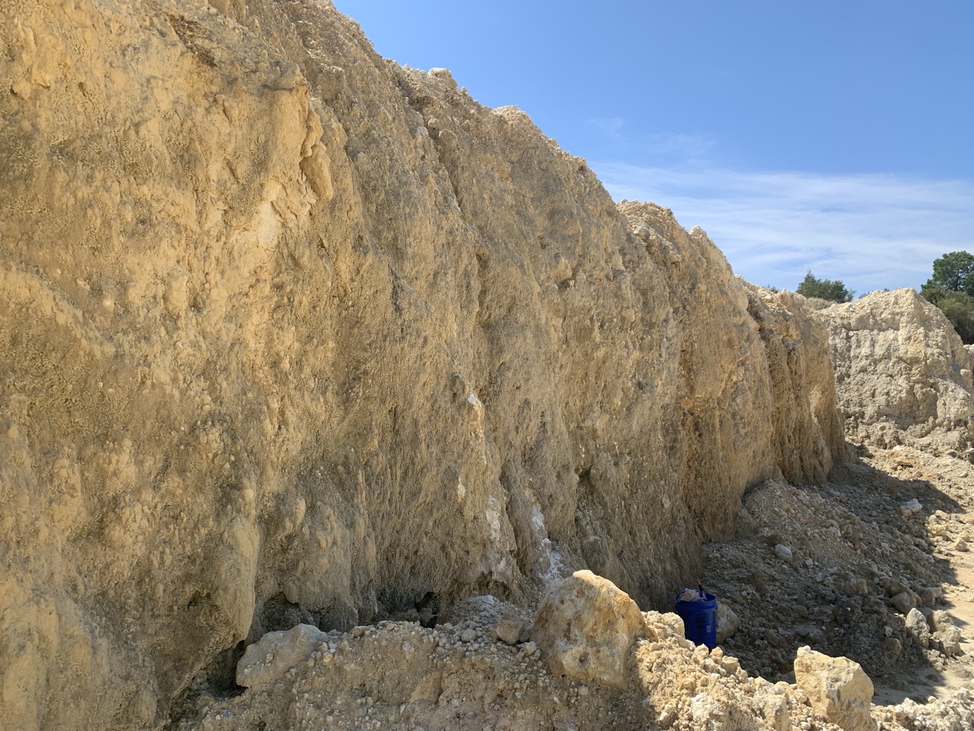 A tall, pale limestone cliff face in a Florida quarry under a blue sky