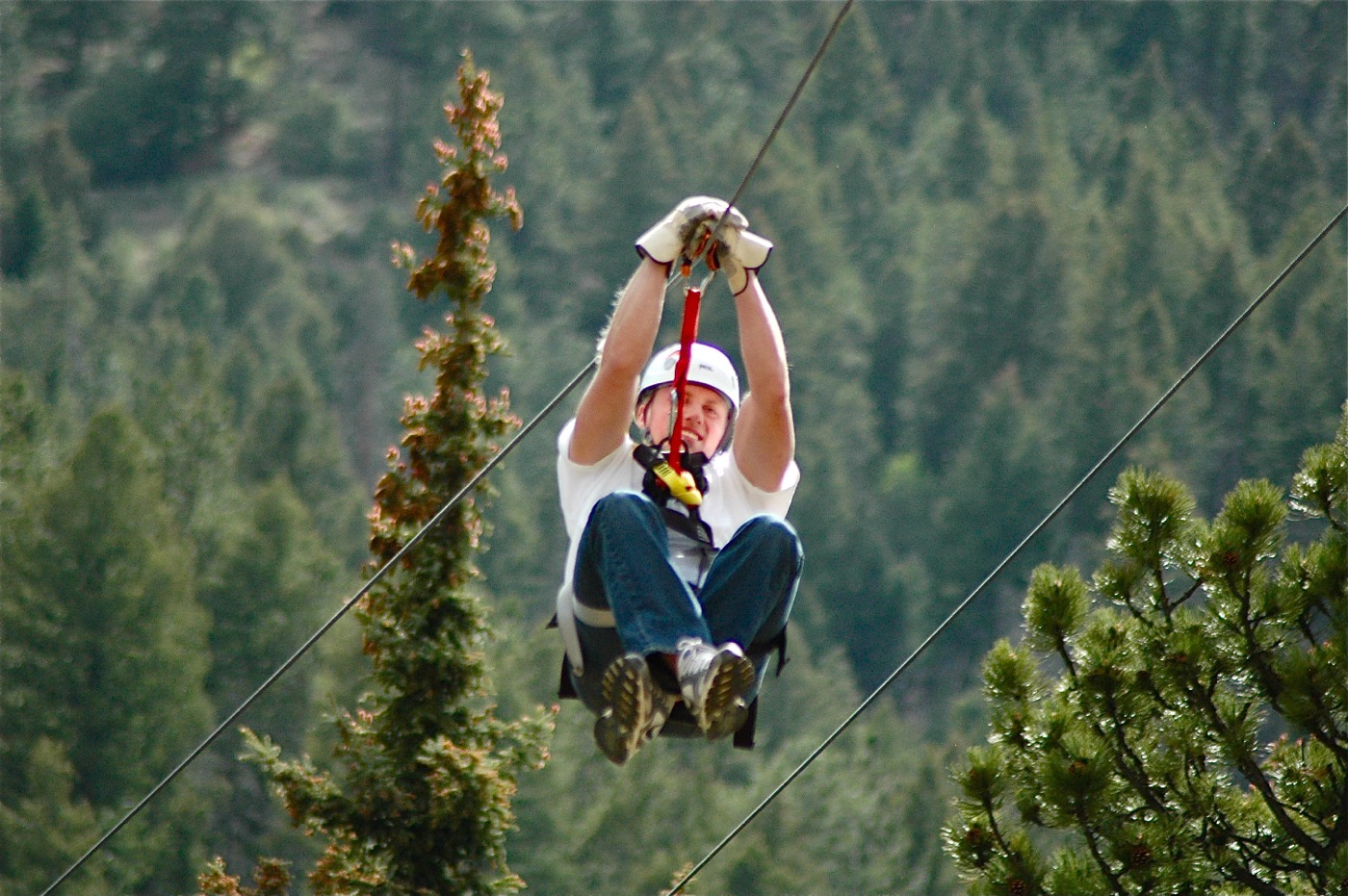 A rider in a white helmet and harness glides down a zip line above evergreen trees
