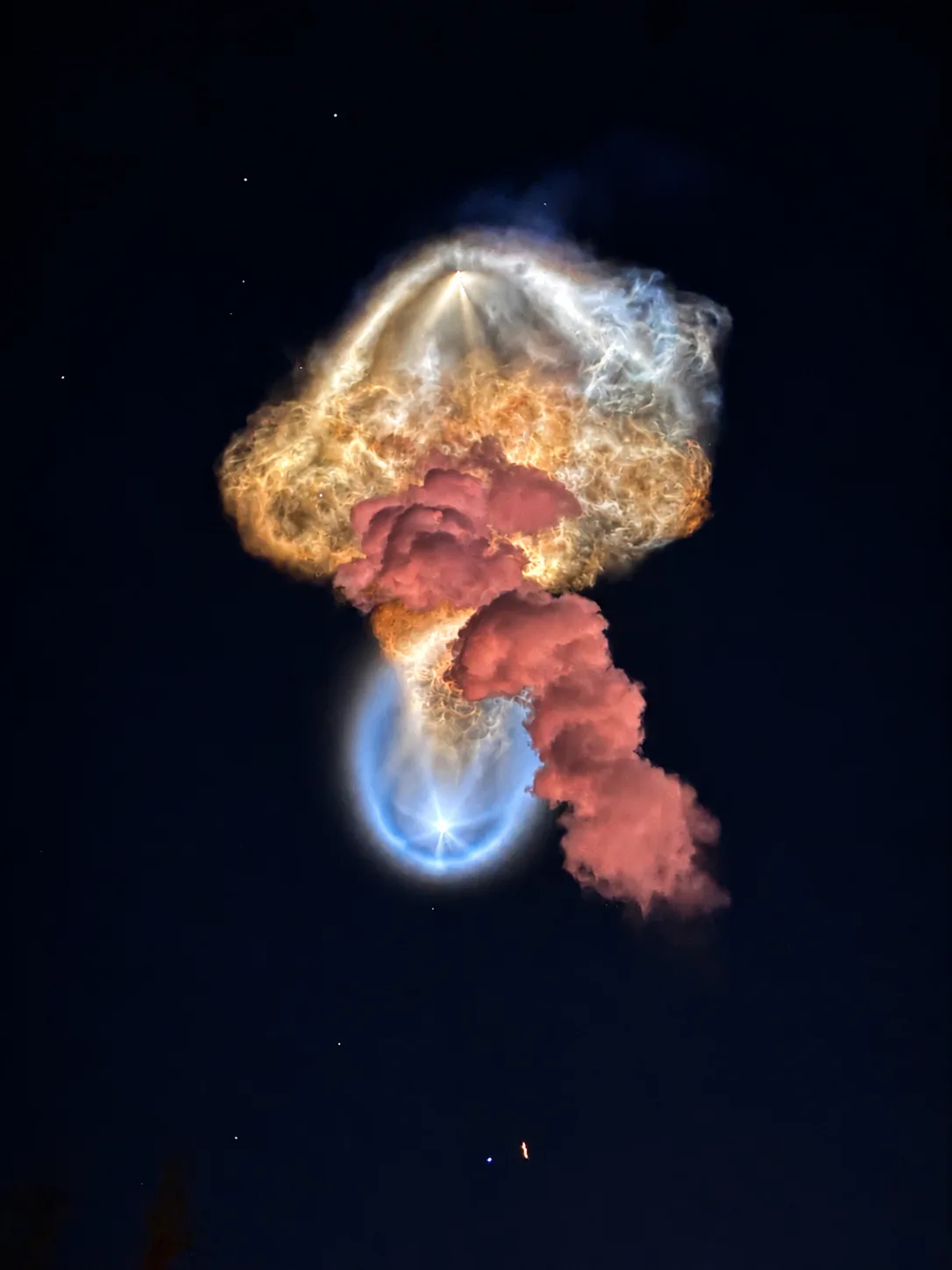 The glowing exhaust plume of a SpaceX Falcon 9 rocket lit by sunlight in the predawn sky above Cape Canaveral, forming a jellyfish-like shape