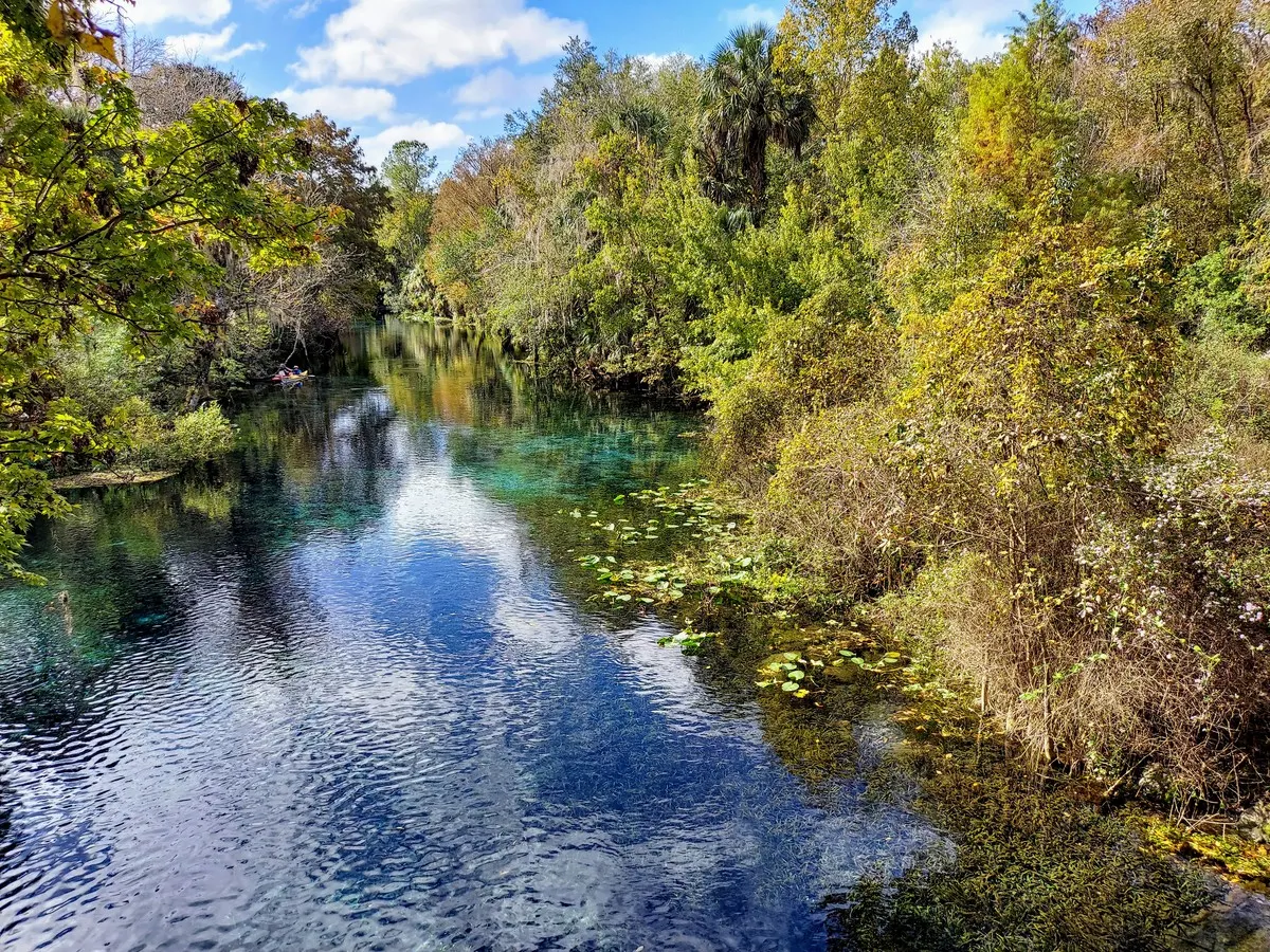 Where Will Ocala's Water Actually Come From? What the Growth, Drought, and Silver Springs Numbers Actually Say