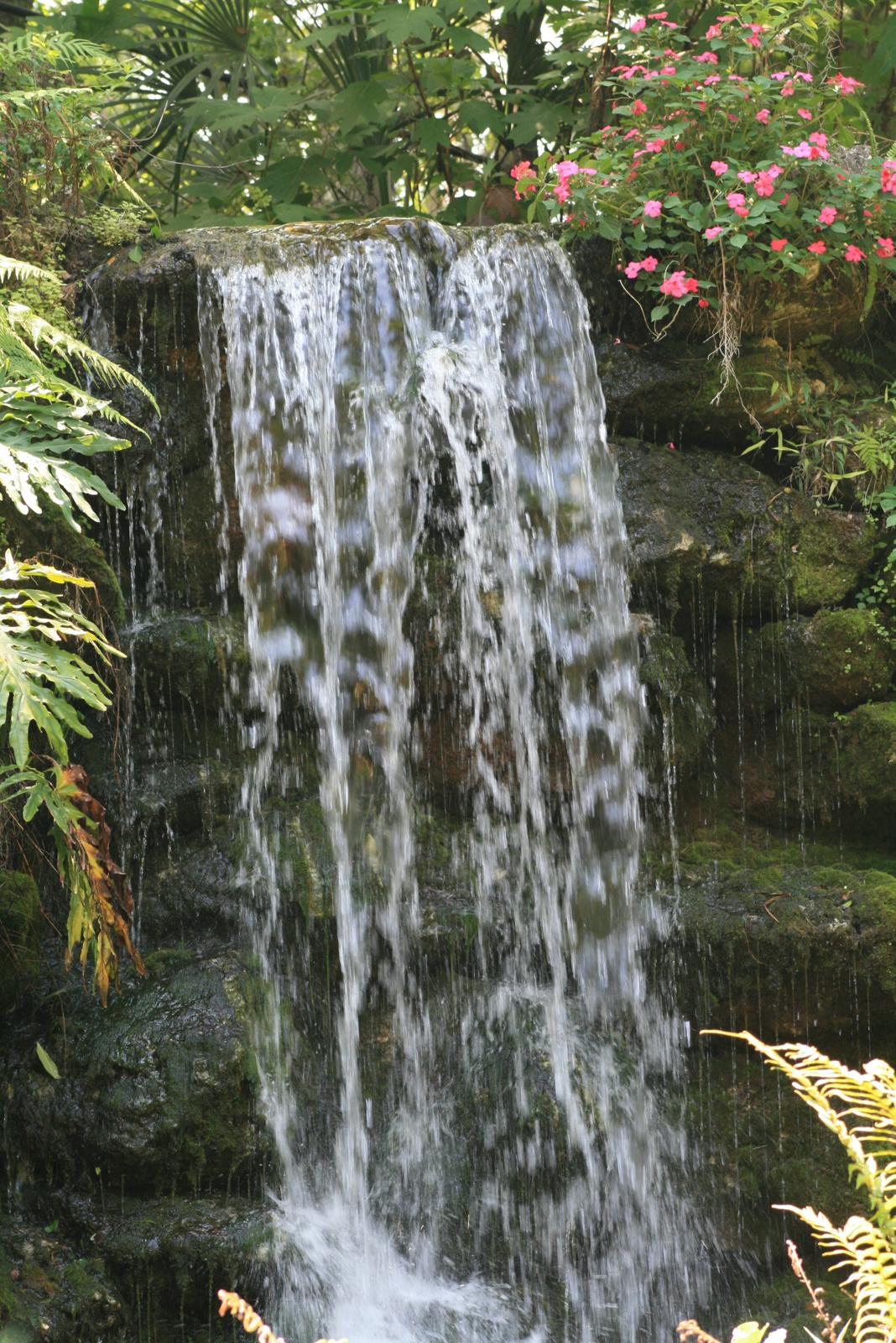 Water spilling over a mossy rock waterfall at Rainbow Springs State Park, with ferns and pink flowers around it