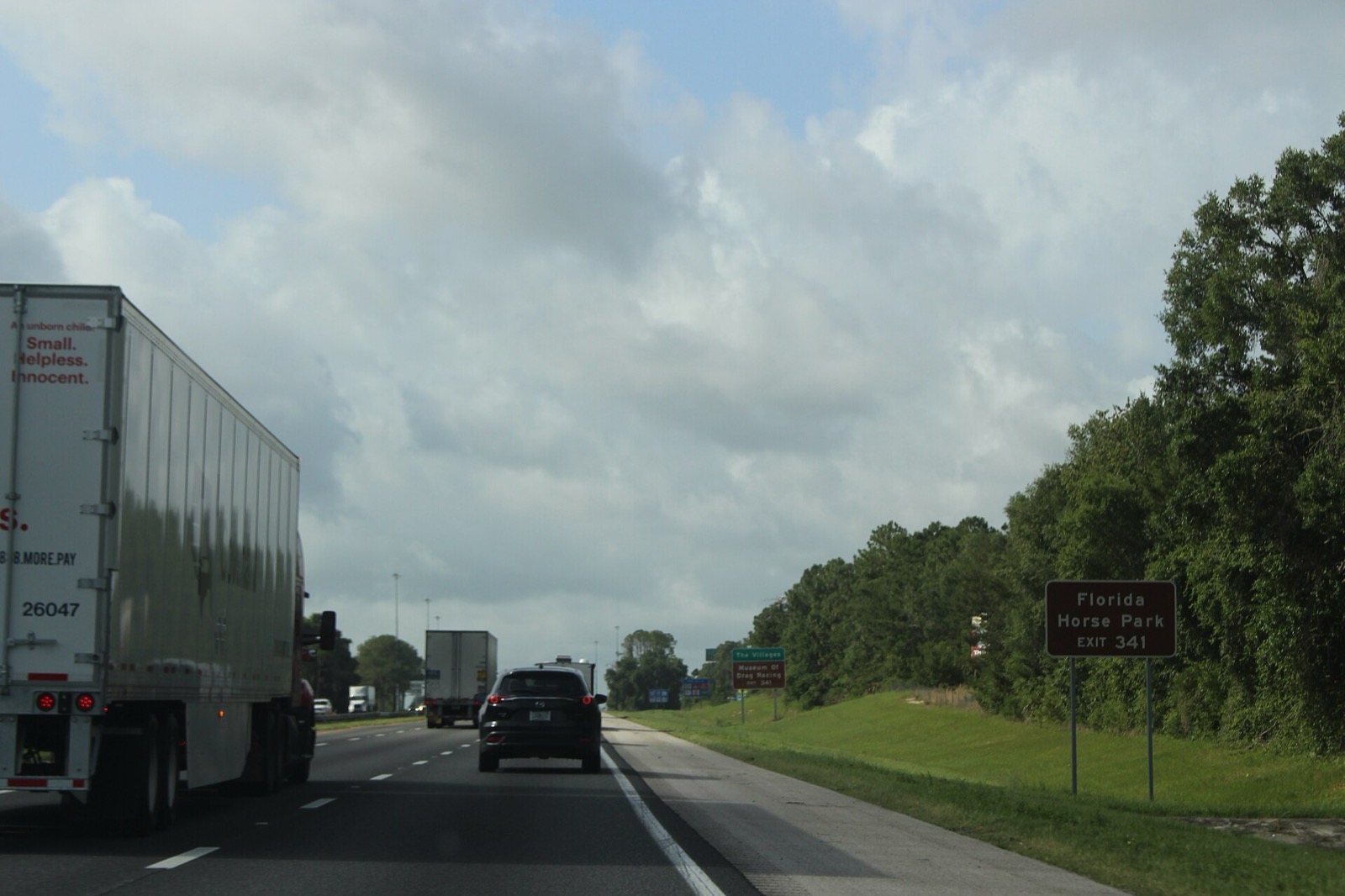 Southbound I-75 highway sign for Exit 341 listing the Florida Horse Park