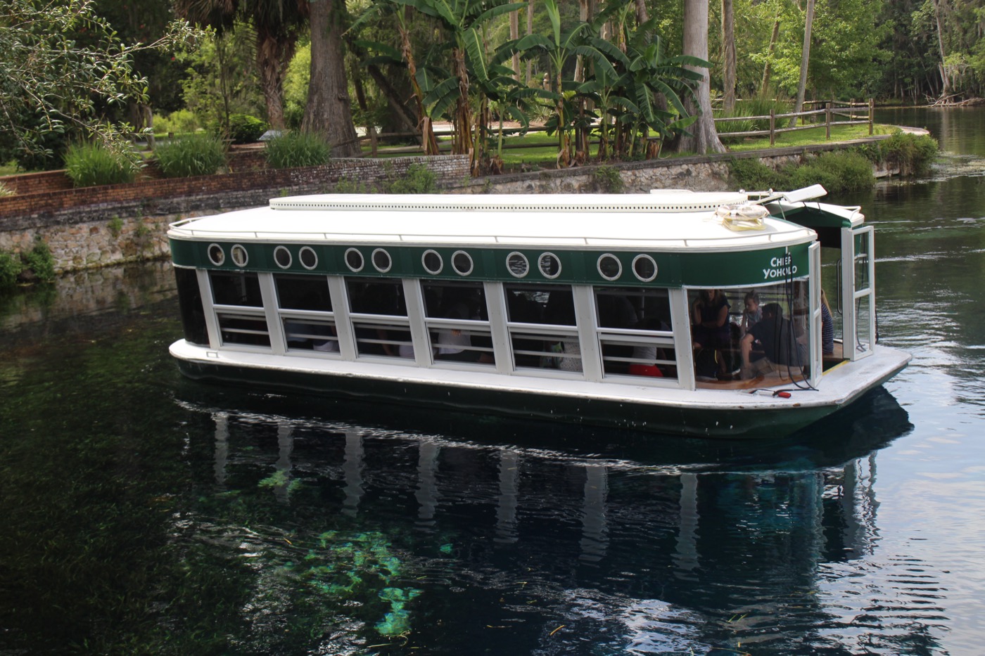 A green and white glass-bottom boat named Chief Yoholo carrying passengers across the dark, clear spring