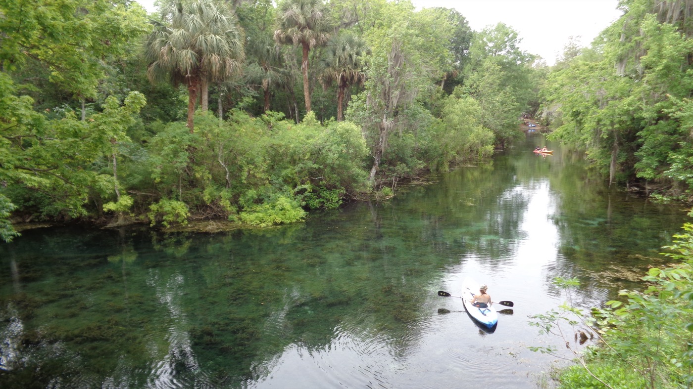 A paddler in a kayak on the clear, green Silver River between banks of palms and hardwood trees