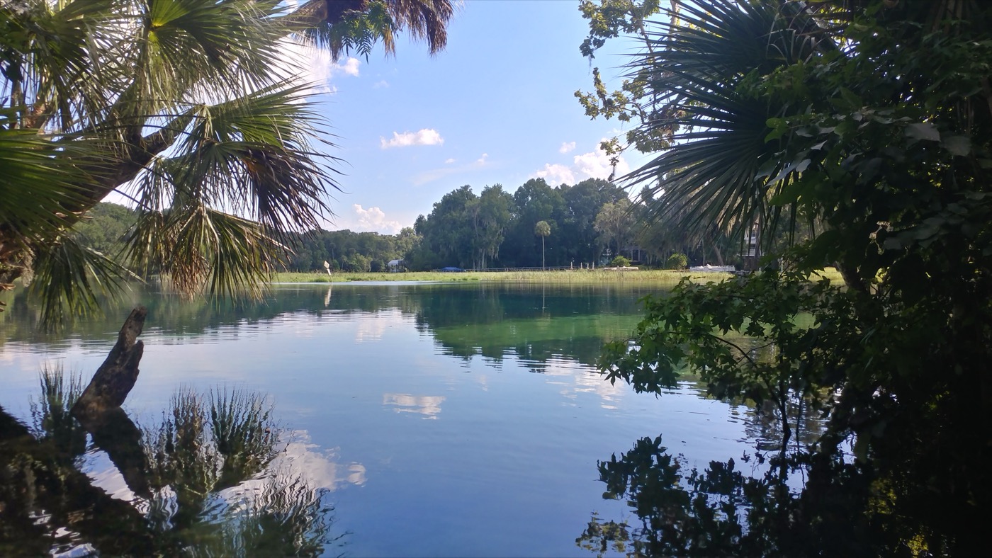 Clear water and green banks of the Rainbow River seen from a kayak in Dunnellon, Florida